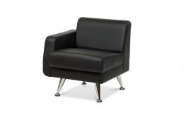 Секция Lion 1R